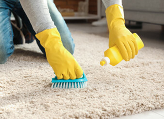 Carpet Cleaning