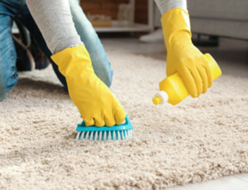 Simple cleaning tips you can use everyday